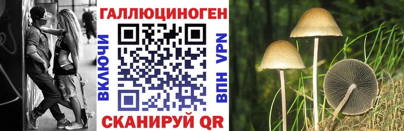Галлюциногенные грибы мухоморы  Западная Двина 